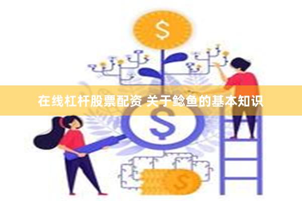 在线杠杆股票配资 关于鲶鱼的基本知识