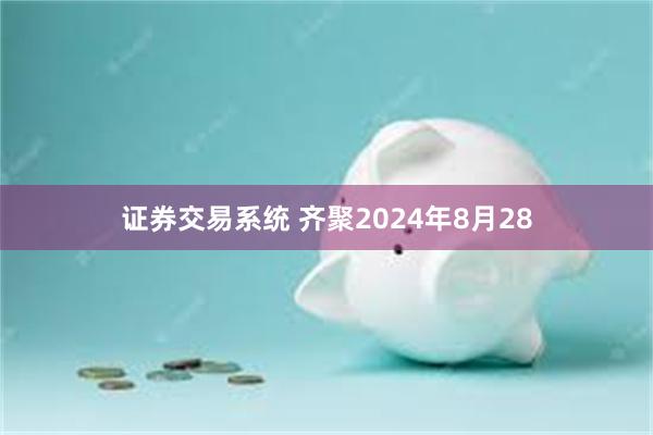 证券交易系统 齐聚2024年8月28