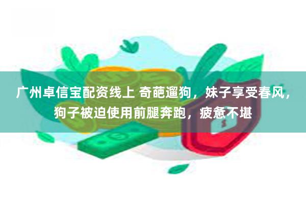 广州卓信宝配资线上 奇葩遛狗，妹子享受春风，狗子被迫使用前腿奔跑，疲惫不堪