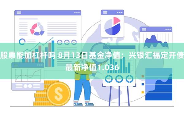 股票能加杠杆吗 8月13日基金净值：兴银汇福定开债最新净值1.036