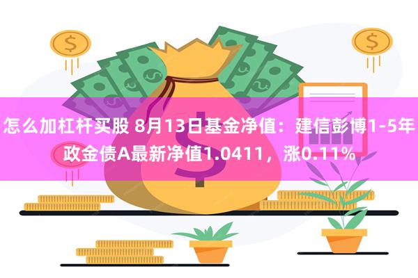 怎么加杠杆买股 8月13日基金净值：建信彭博1-5年政金债A最新净值1.0411，涨0.11%