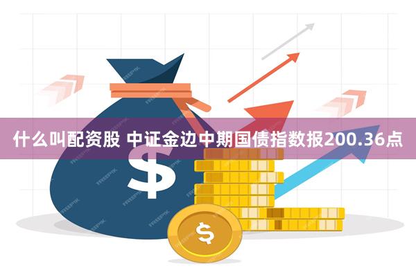 什么叫配资股 中证金边中期国债指数报200.36点