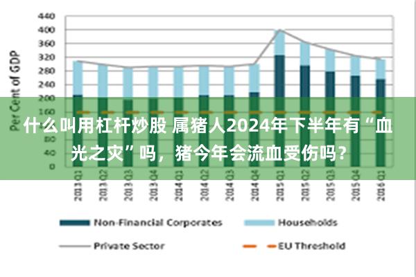 什么叫用杠杆炒股 属猪人2024年下半年有“血光之灾”吗，猪今年会流血受伤吗？