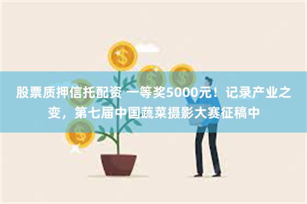 股票质押信托配资 一等奖5000元！记录产业之变，第七届中国蔬菜摄影大赛征稿中