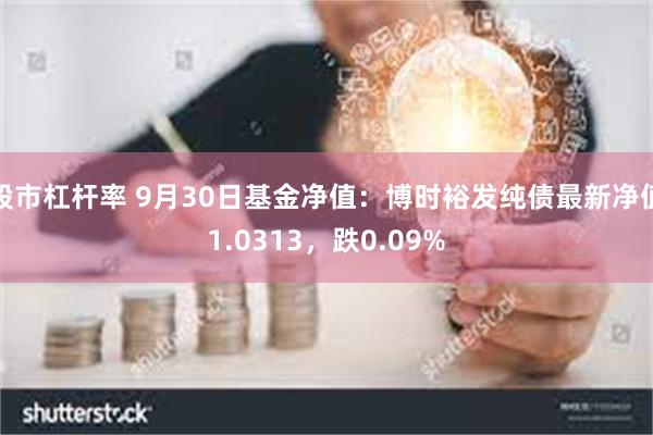 股市杠杆率 9月30日基金净值：博时裕发纯债最新净值1.0313，跌0.09%