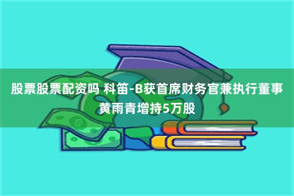 股票股票配资吗 科笛-B获首席财务官兼执行董事黄雨青增持5万股