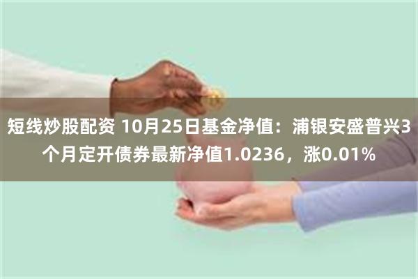 短线炒股配资 10月25日基金净值：浦银安盛普兴3个月定开债券最新净值1.0236，涨0.01%