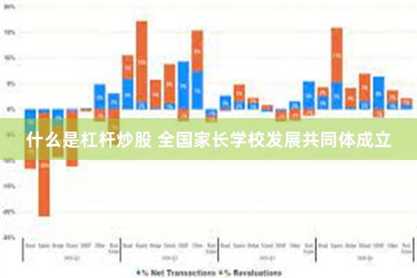 什么是杠杆炒股 全国家长学校发展共同体成立